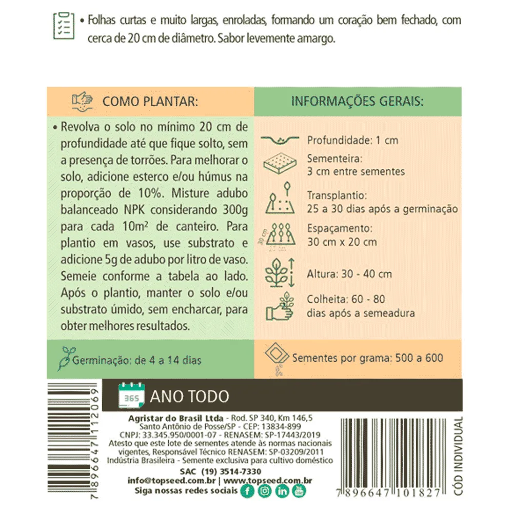 Sementes de Almeirão Pão de Açucar Tradicional Topseed Garden — foto 2
