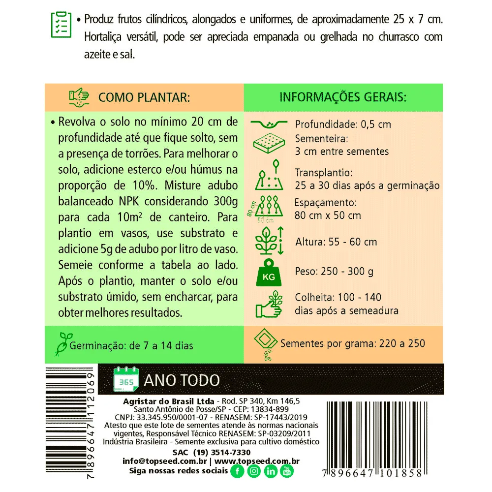 Sementes de Berinjela Comprida Roxa Tradicional Topseed Garden — foto 2