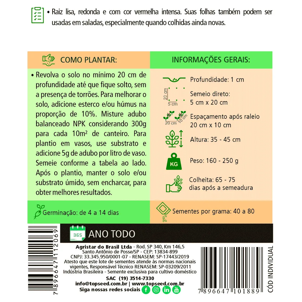 Sementes de Beterraba Early Wonder Tall Top Tradicional Topseed Garden — foto 2