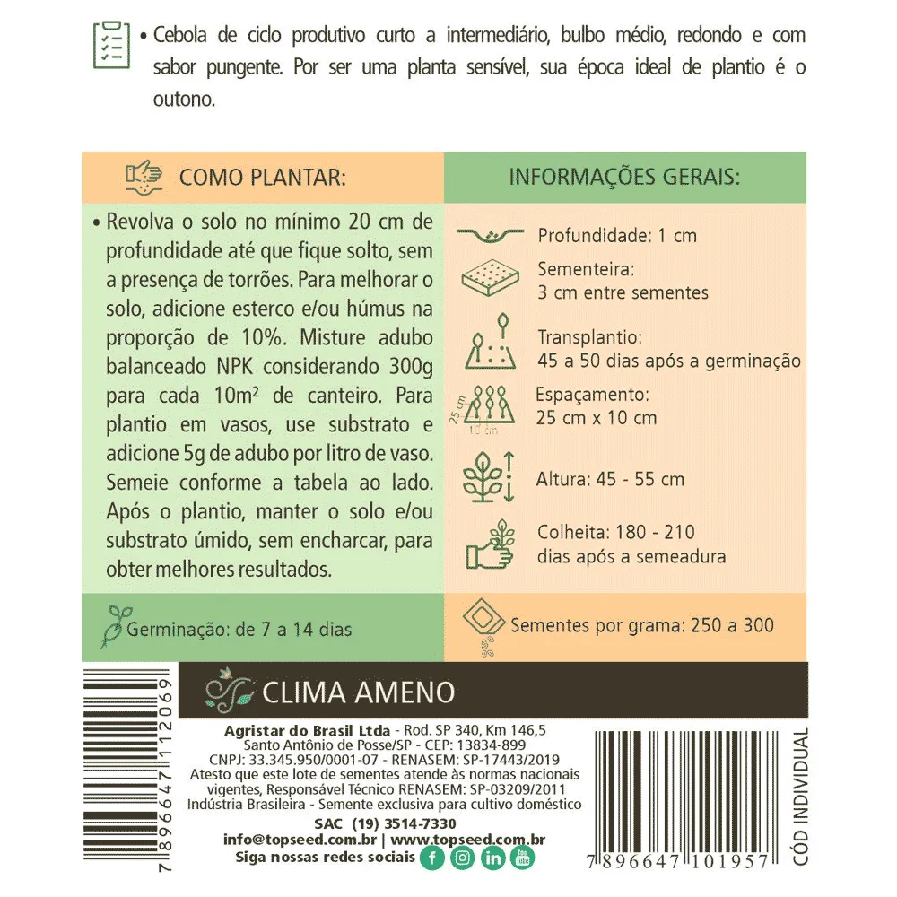 Sementes de Cebola Baia Periforme Tradicional Topseed Garden — foto 2