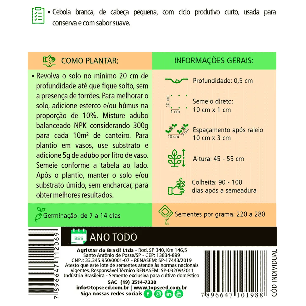 Sementes de Cebola Crystal White Wax Tradicional Topseed Garden — foto 2