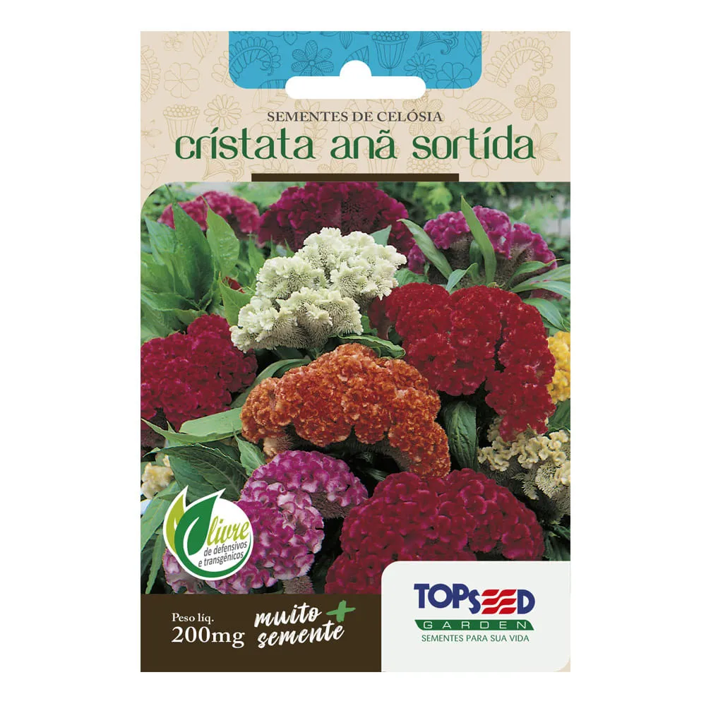 Sementes de Celósia Cristata Anã Sortida Tradicional Topseed Garden