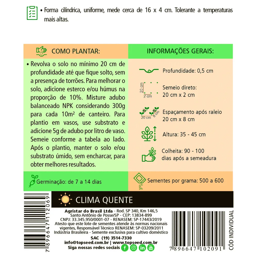 Sementes de Cenoura Brasília Alta Seleção Tradicional Topseed Garden — foto 2
