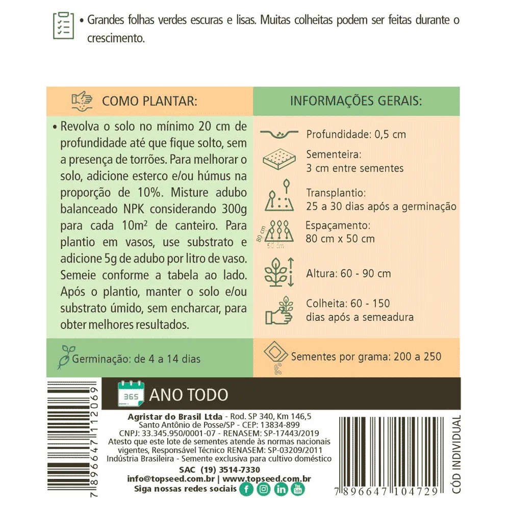 Sementes de Couve Manteiga da Georgia Tradicional Topseed Garden — foto 2