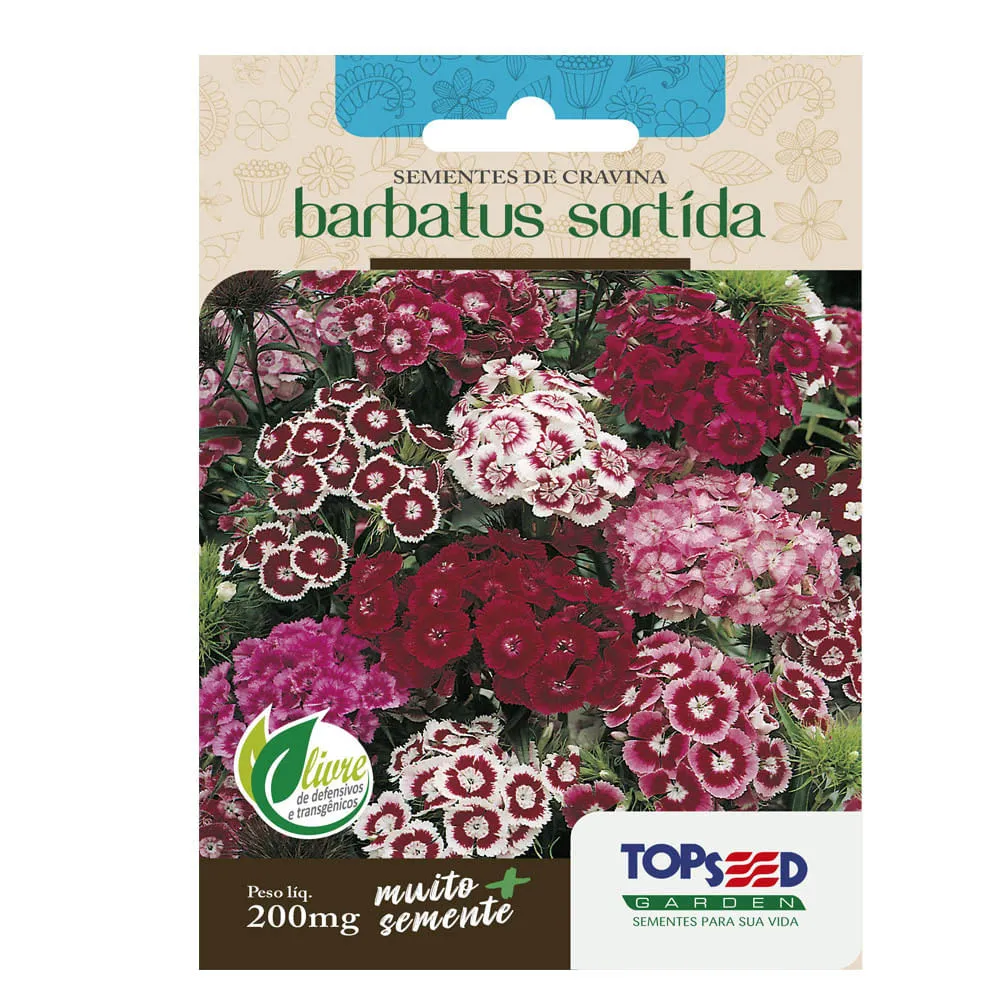 Sementes de Cravina Barbatus Sortido Tradicional Topseed Garden