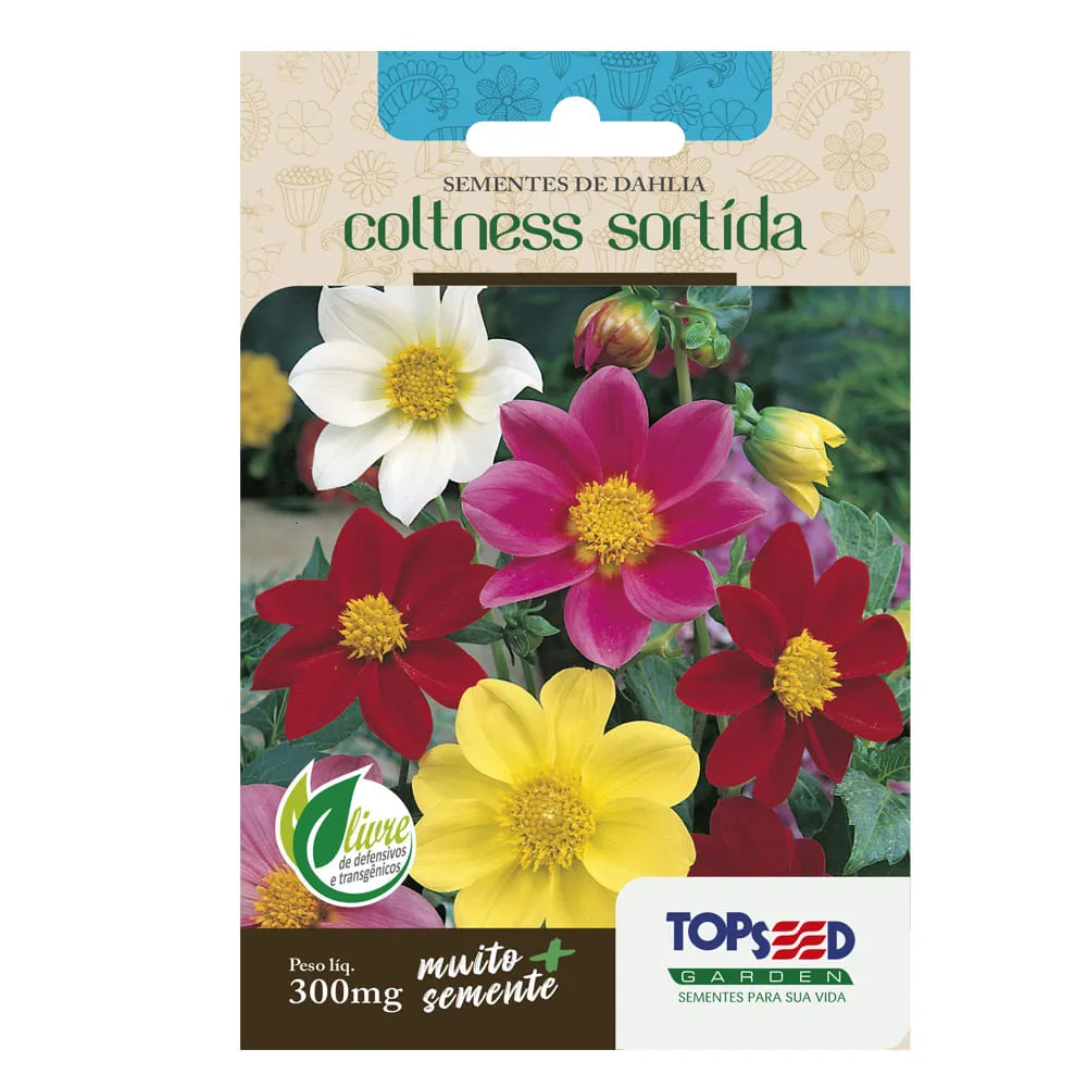 Sementes de Dahlia Coltness Sortida Tradicional Topseed Garden