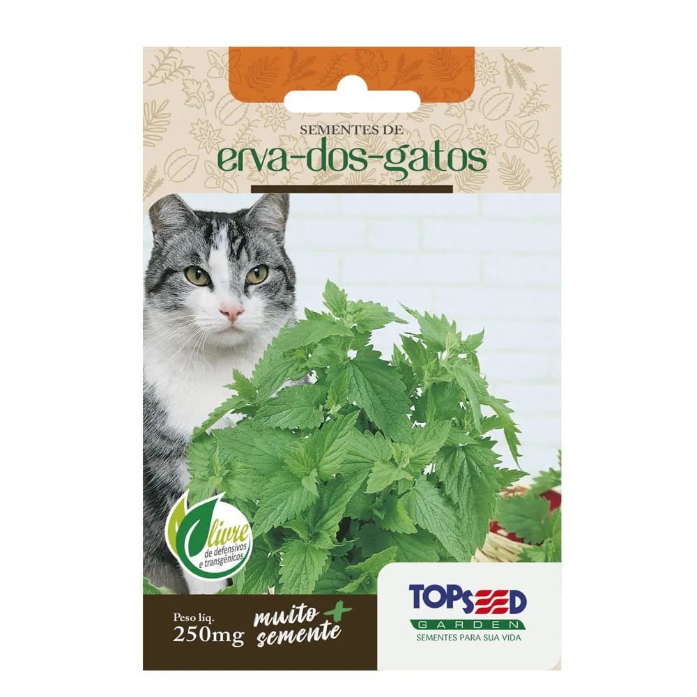 Sementes de Erva dos Gatos Tradicional Topseed Garden