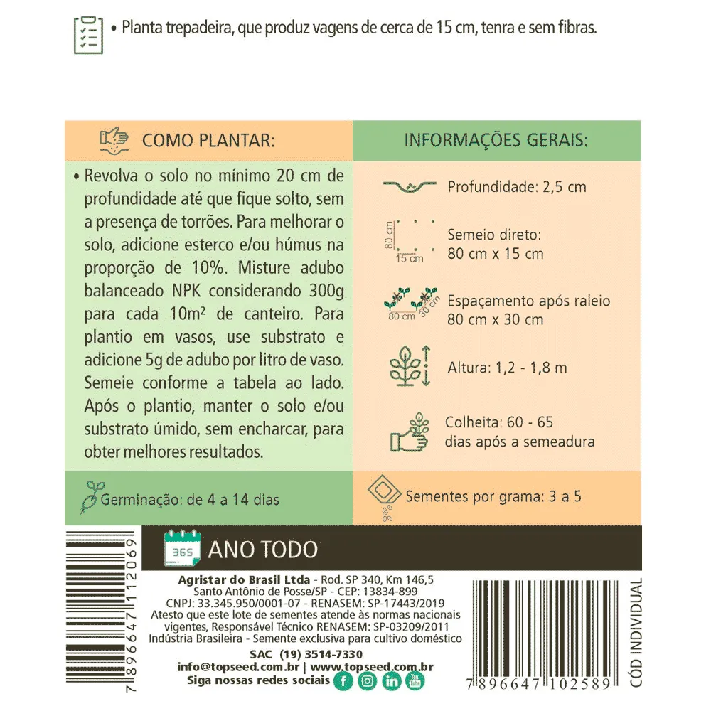 Sementes de Feijão de Vagem Macarrão Trepador Tradicional Topseed Garden — foto 2
