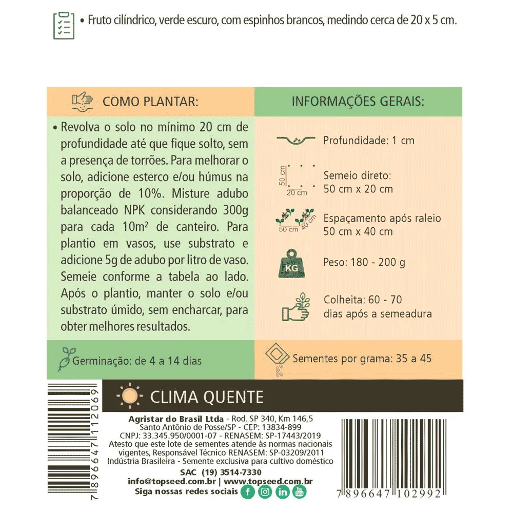 Sementes de Pepino Aodai Tradicional Topseed Garden — foto 2
