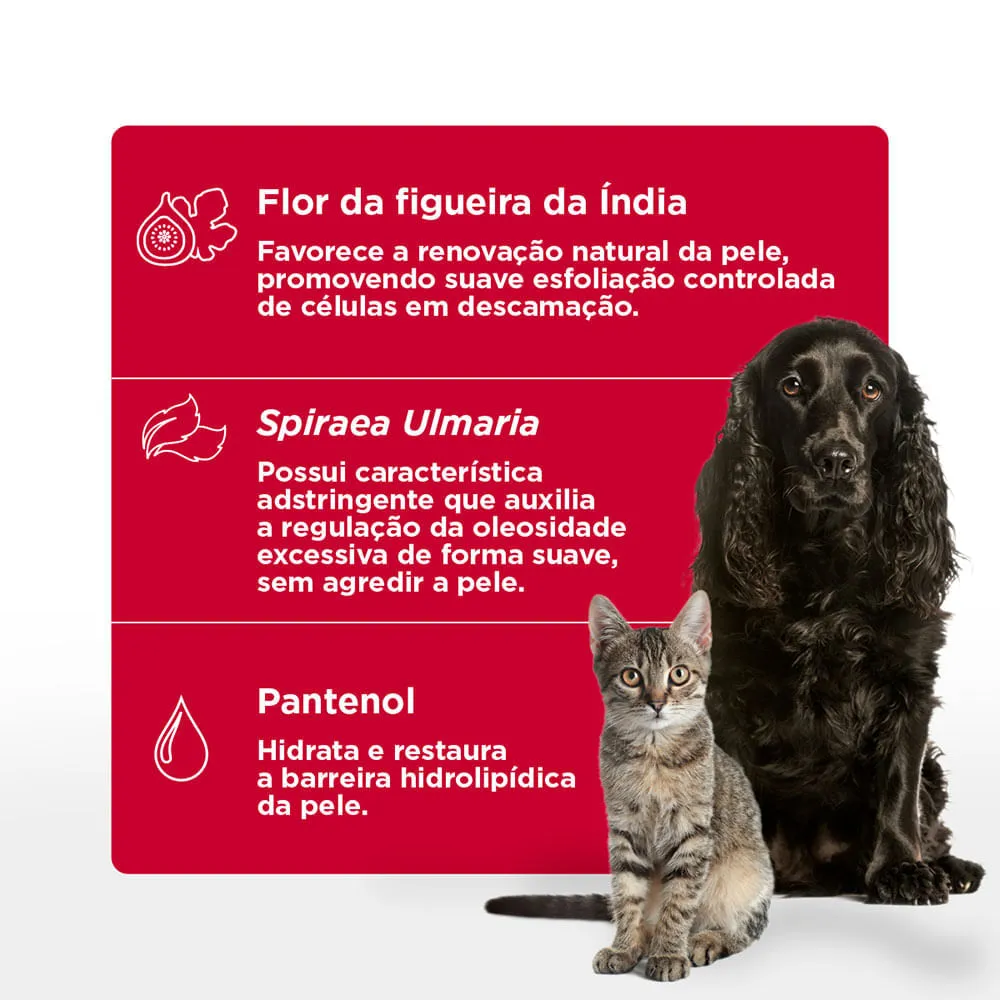 Shampoo para Pele Oleosa e com Descamação Skin Balance Soft Care — foto 3