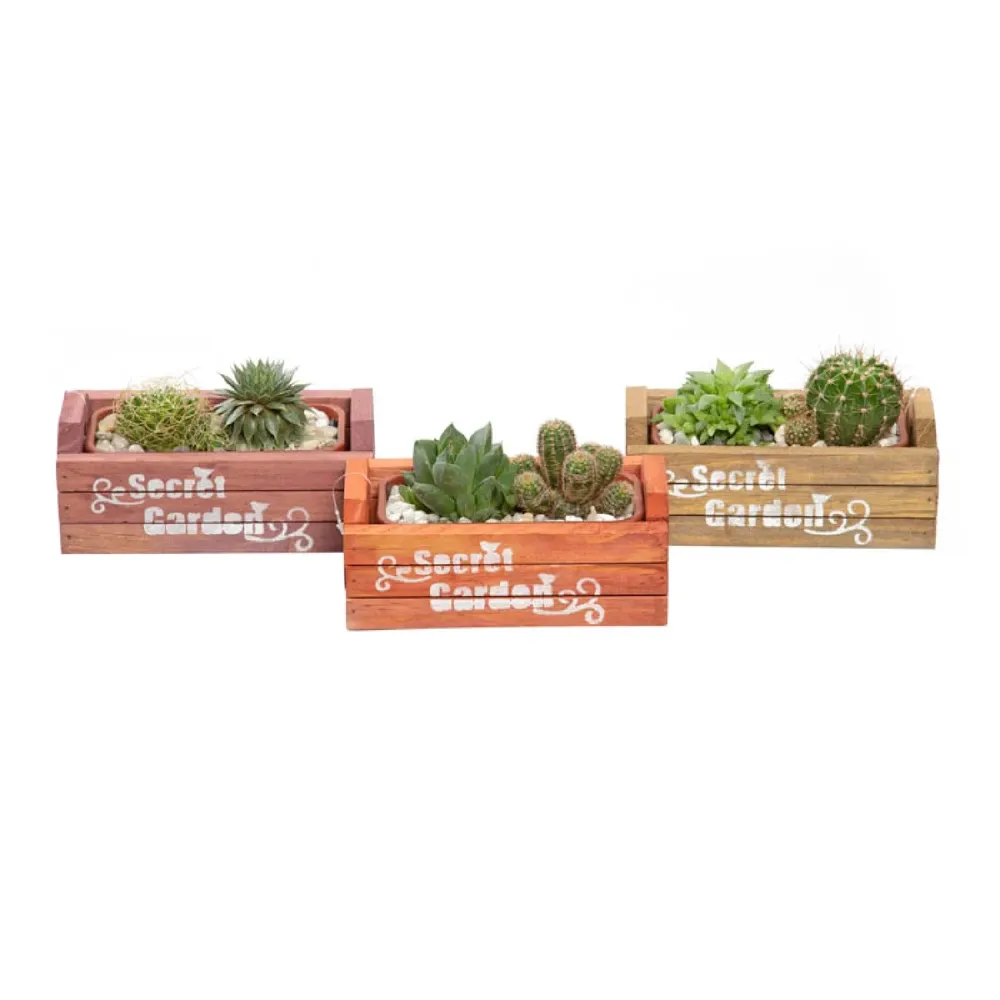 Suculentas Jardineira Caixote Decorado 1.1 Lt