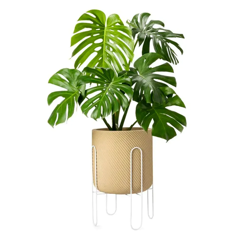 Suporte para Vasos Urban Branco — foto 2