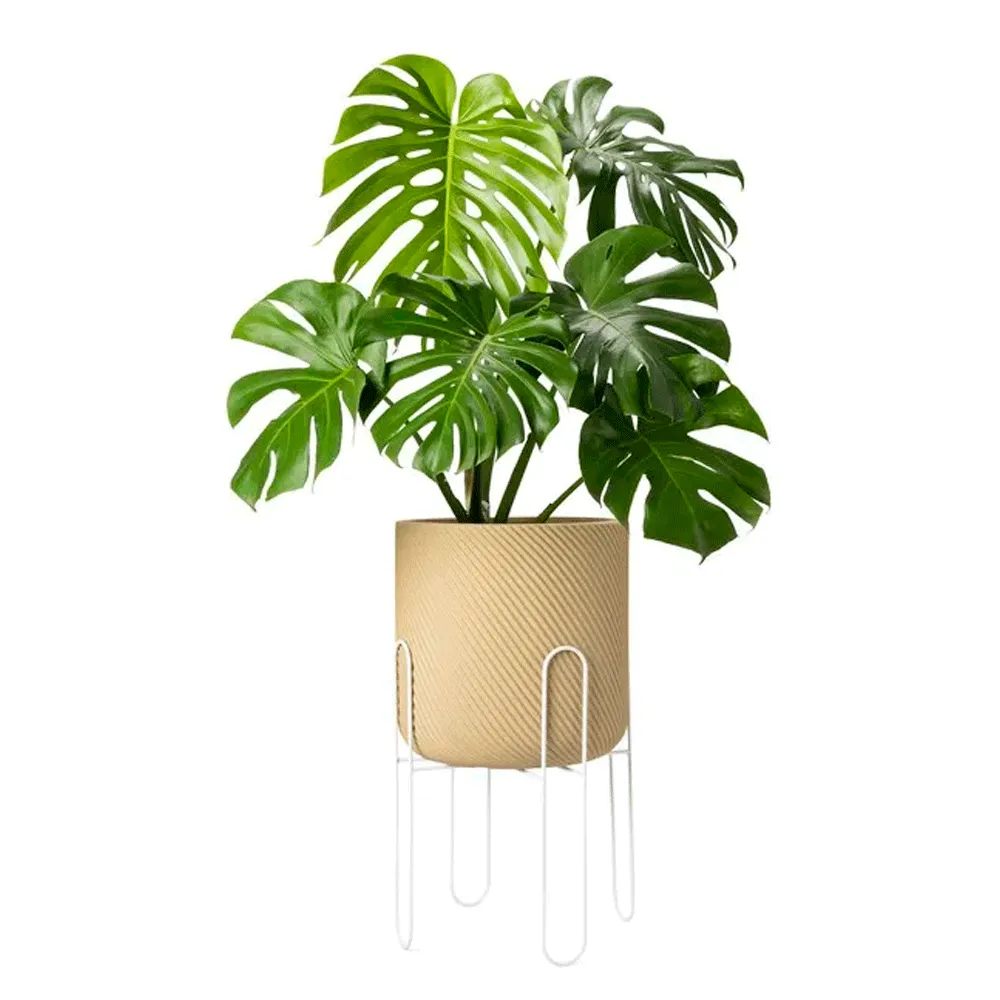 Suporte para Vasos Urban Branco — foto 4
