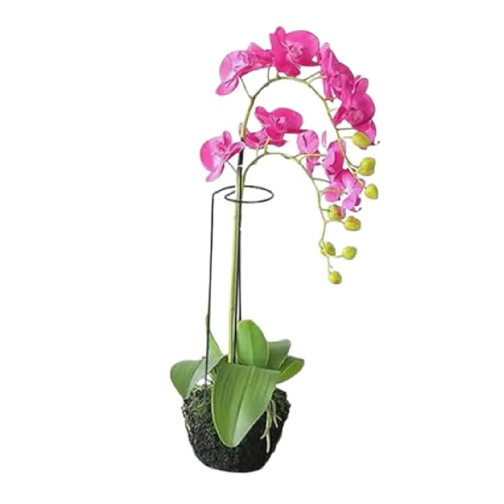 Tutor Fácil para Plantas e Orquídeas Top Garden — foto 3
