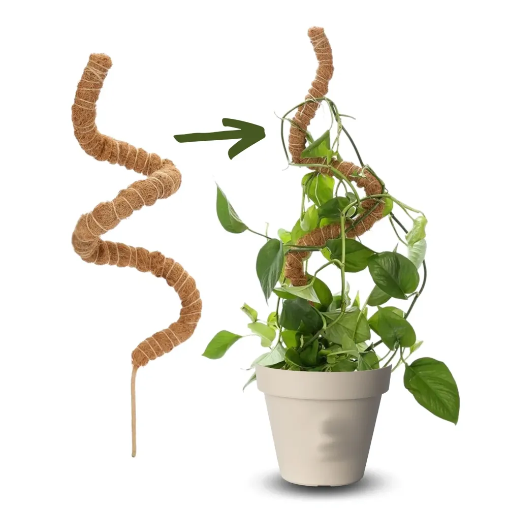 Tutor Maleável em Fibra de Coco para Plantas Top Garden — foto 4