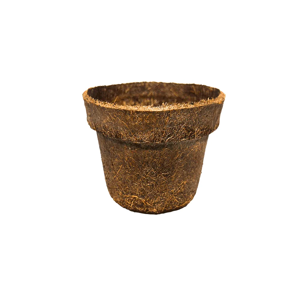 Vaso de Fibra de Coco Natural Coquim — foto 5