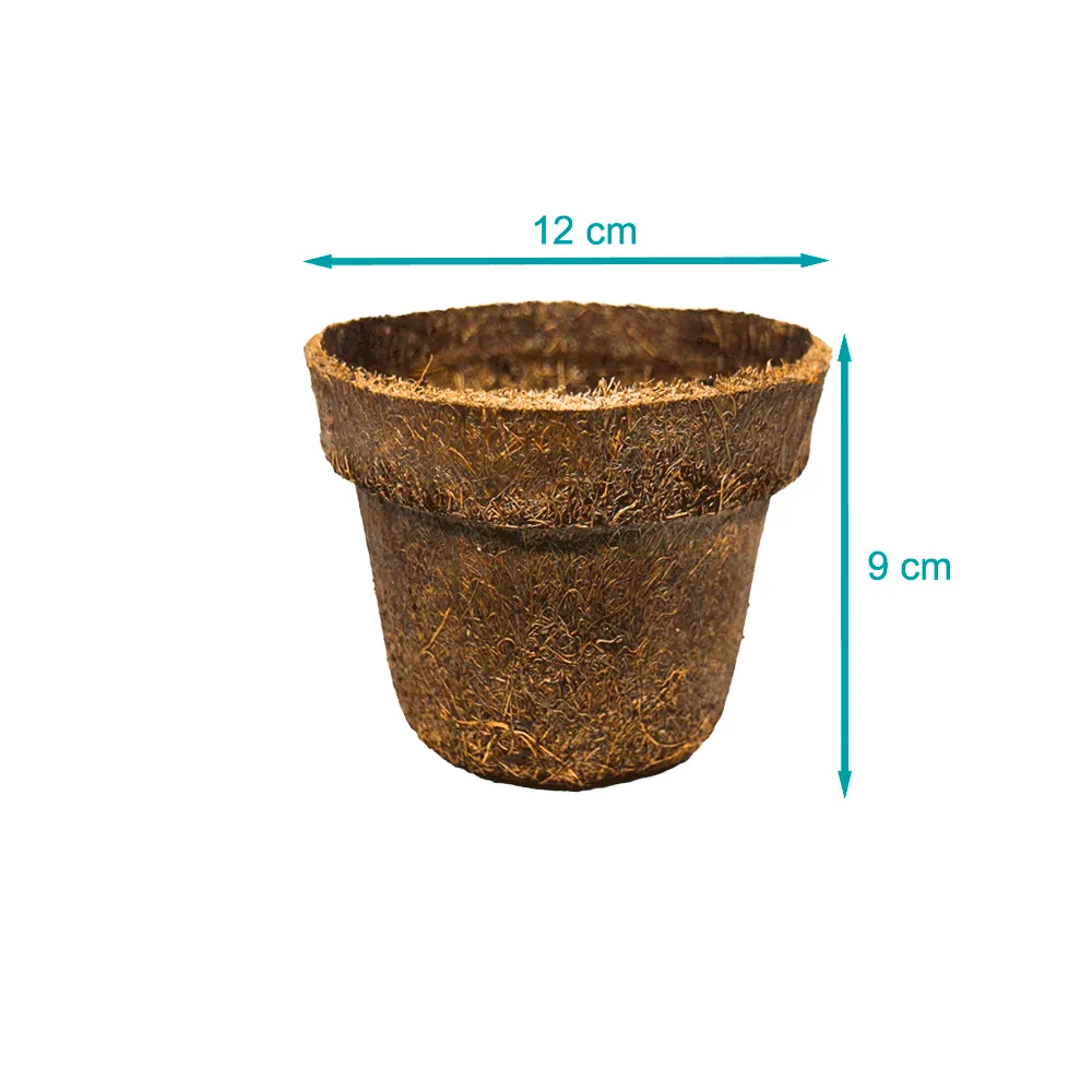 Vaso de Fibra de Coco Natural Coquim — foto 6