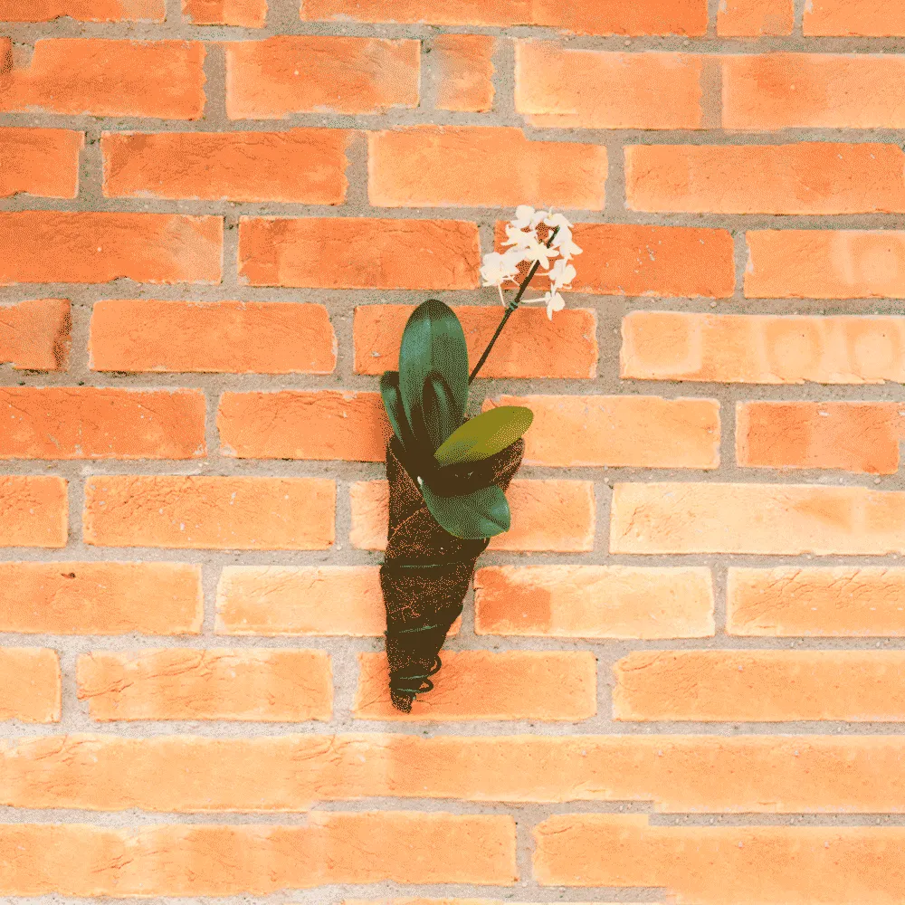 Vaso de Parede Coquim Orquídea — foto 2