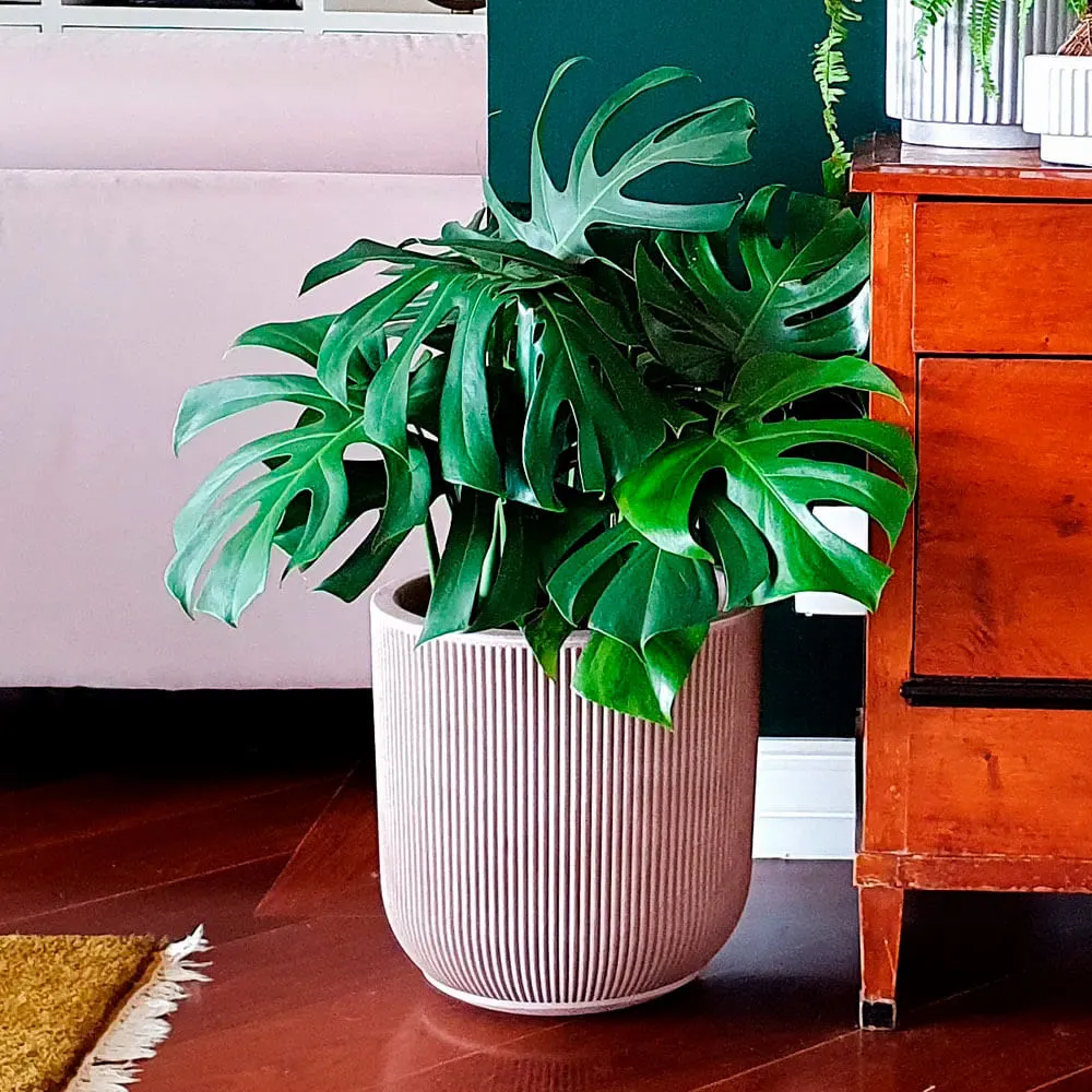Vaso SP27 Fosco 29 x 29cm com Prato Branco Vasart — foto 3