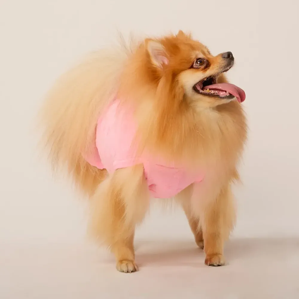 Vestido Coração Rosa Fábrica Pet — foto 6