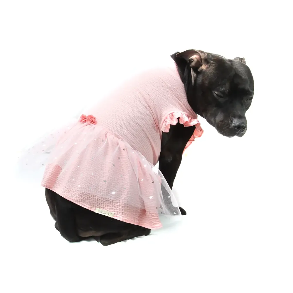 Vestido Fadinha Bichinho Chic Rosa — foto 4