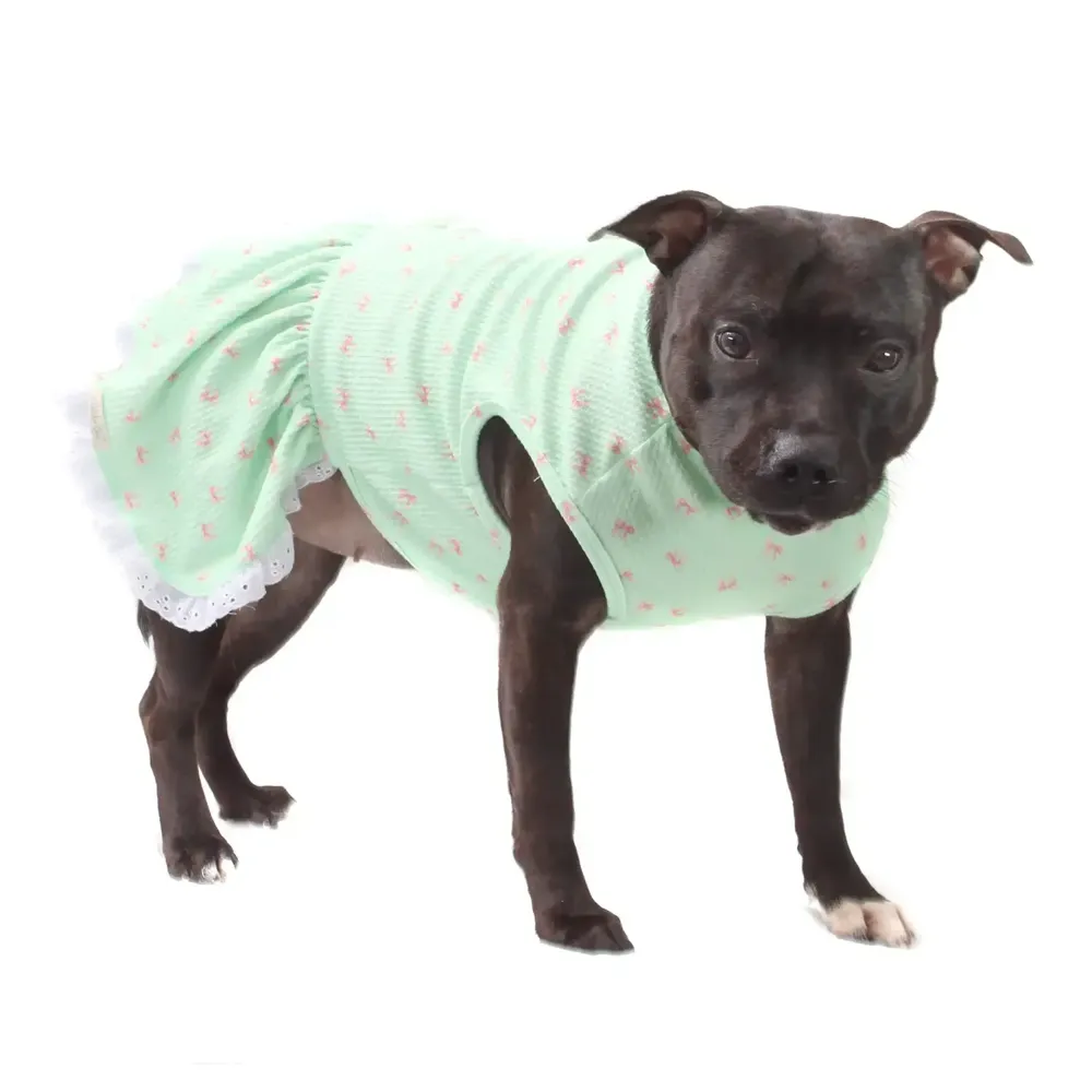 Vestido Lacinhos Bichinho Chic Verde — foto 4