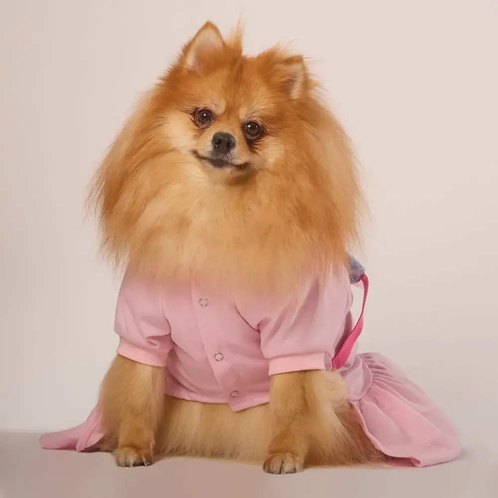 Vestido Originals para Cães e Gatos Emporium Distripet Rosa — foto 2