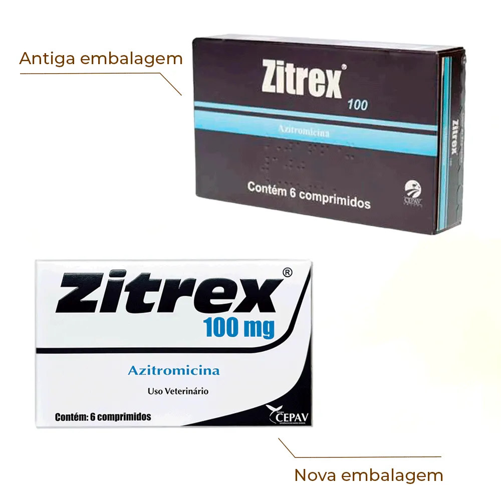 Zitrex 100mg com 6 comprimidos — foto 2